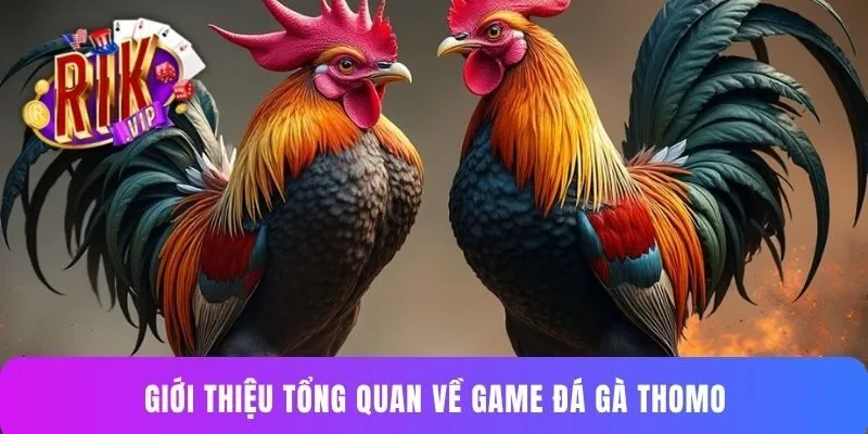 Giới thiệu tổng quan về game đá gà Thomo